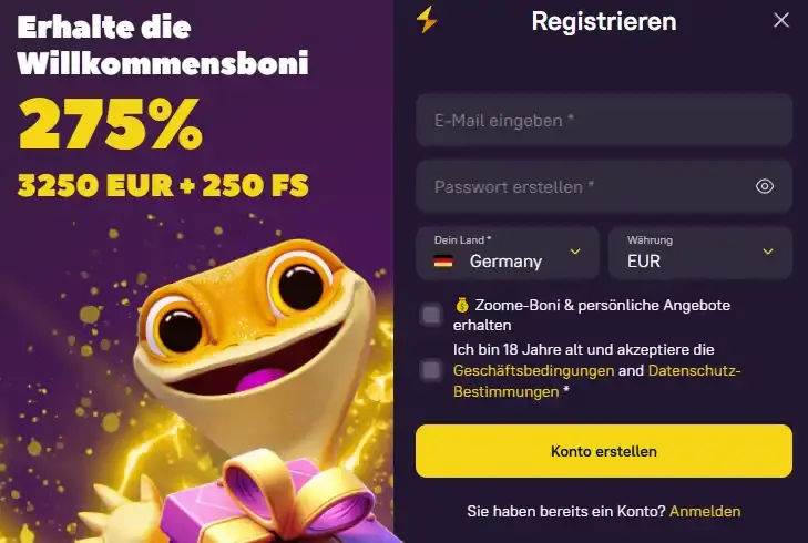 Zoome Registrierungs- oder KYC-Interface
